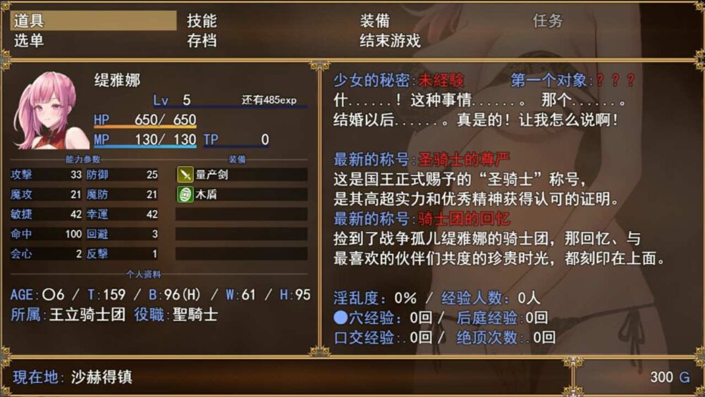 蒂安娜的荣耀 グローリー オブ ティアナ 1.0 PC+安卓汉化版 (1)